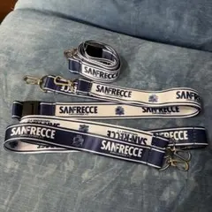 Item thumbnail for item df7cb980-dcfe-48e0-85e8-fe91288a58d8