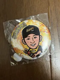 Item thumbnail for item 7cfd432e-34ff-454c-a65a-b81ee0064885