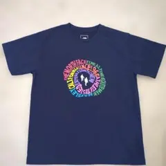 美品THE NORTHFACE ノースフェイスTシャツサーキュラー ハイカーズL