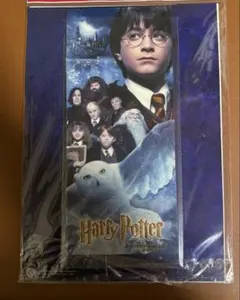 USJ ウィザーディングオブハリーポッター開業記念 フレームのポストカード