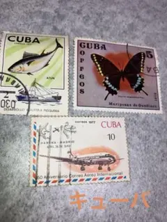 Item thumbnail for item 2efac44a-49c8-45bd-acd1-26cbfa249842