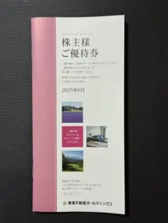 【1,000株以上】東急不動産ホールディングス 株主優待券