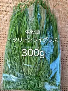 Item thumbnail for item c2e26f00-82ef-49c3-911c-fc0ce7ae48c1