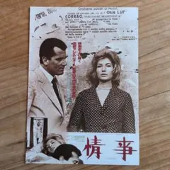 映画チラシ / フライヤー / 情事