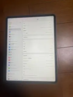 Apple iPad Pro 12.9インチ 第4世代 本体