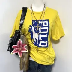 希少デザイン✴︎y2kピチTポロラルフローレンフェアリーグランジ古着屋ロック韓国 polo ラルフローレン ロンT 長袖 ピチ ビックポニー y2k グランジ
