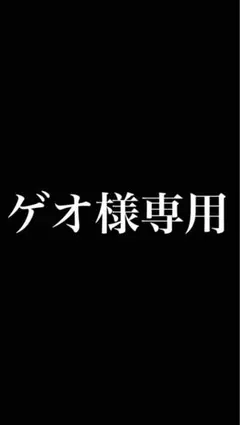 ゲオ様専用商品