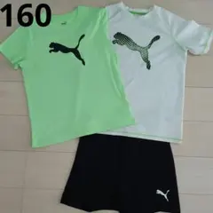 プーマ　Tシャツパンツ　３点セット　160
