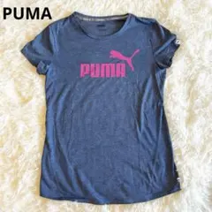 プーマ　PUMA ロゴ入り　Tシャツ　青　ピンクトレーニング ランニング L