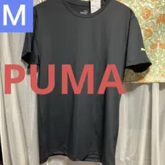 Item thumbnail for item 780b32e4-0e9f-4962-a98c-5c451fd2bcf4