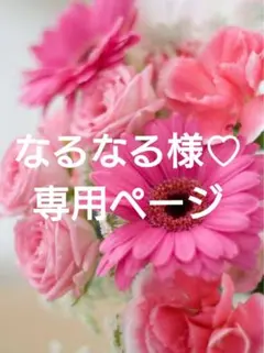 なるなる様♡専用ページ.。.:*♡✿ฺ