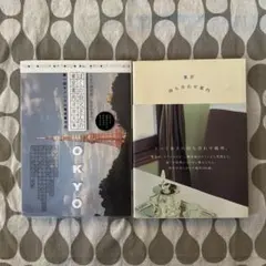 Item thumbnail for item baf572d5-1a6c-4a3a-bb4c-42af818a92b0