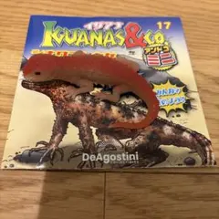 アンドコ シナワニトカゲ