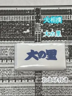 大相撲 第75代横綱 大の里応援タオル✨おまけ 令和7年11月場所 番付表