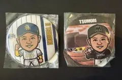 福岡ソフトバンクホークス 谷川原健太選手缶バッジ 2種セット - メルカリ