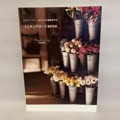 Item thumbnail for item 7cfac546-b946-4c18-8087-dabc1ff4c3b8