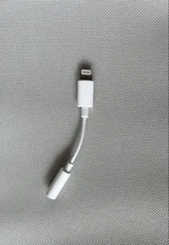 【新品】Apple 純正　イヤホン イヤフォン ジャック　アダプタ