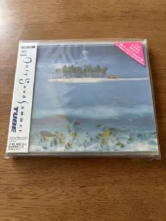 Only Good Summer オンリー・グッド・サマー / TUBE 未使用