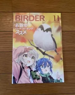 BIRDER バーダー 2021年11月 特集・お散歩バードウオッチングのススメ