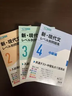 新・現代文レベル別問題集 2・3・4 東進ブックス 現代文