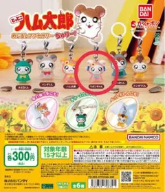 とっとこハム太郎 めじるしアクセサリー ちゅりー！ガチャガチャ　リボンちゃん