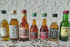 ウイスキー、コニャック ミニボトル 7本セット - メルカリ