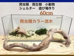 Item thumbnail for item bcb96b33-675b-4cb9-af03-d439a354348b