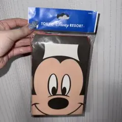 東京ディズニーリゾート　封筒セット