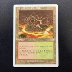 カープルーザンの森　6版日本語