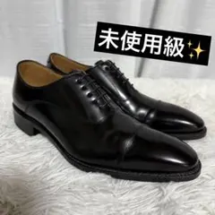 ⭐️未使用級⭐️ REGAL ビジネスシューズ　315R ストレートチップ　黒