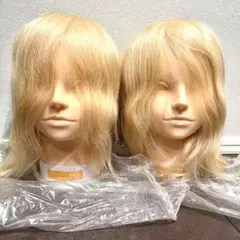 2025年最新】コンテストウィッグの人気アイテム - メルカリ