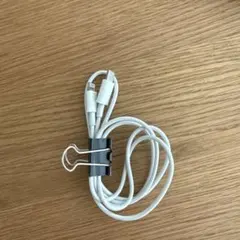 Apple 純正USB-C to Lightning 1.0m