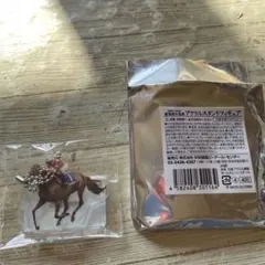 テイエムオペラオー　アクリルキーホルダー　新世紀の名馬　未使用