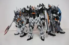 HG ザクウォーリア(ハイネ隊仕様) ガンダムSEEDデスティニー　懸賞非売品 HG ザクウォーリア(ハイネ隊仕様) ガンダムSEEDデスティニー 懸賞