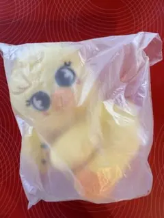 ポガリ　フィリックス　celebrATE ポップアップ　マグネットプラッシュ