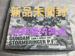 MG 1/100 ガンダムストームブリンガー P.F.のサムネイル