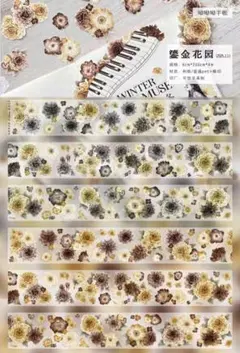 Item thumbnail for item 6d9e06c2-3bf0-4db0-8db7-f9c0ebc33e95