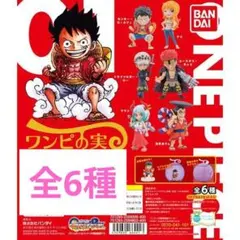 新品　ワンピの実　第一海戦　　コンプリートセット　フルコンプ