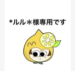 こちらは＊ルル＊様専用です