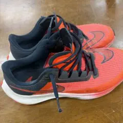 NIKE AIR ZOOM RIVAL FLY 3 駅伝パック27.0cm - メルカリ