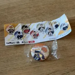 くら寿司　ハイキュー　日向翔陽 缶バッジ