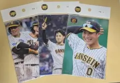 2026年最新】木浪聖也の人気アイテム - メルカリ