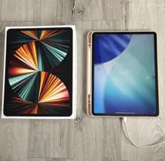 超美品iPad Pro 2024 13インチ 512GB セルラーシルバー m4 - メルカリ