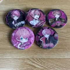 てるとくん 缶バッジ 5個セット