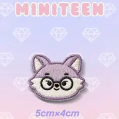 セブチ MINITEEN ミニティーン ワッペン ウォヌ