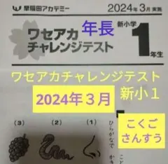 2025年最新】早稲アカ 算数の人気アイテム - メルカリ