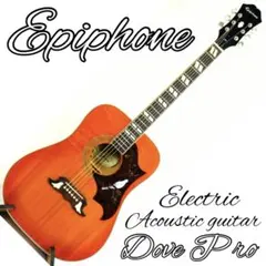 2025年最新】epiphone doveの人気アイテム - メルカリ