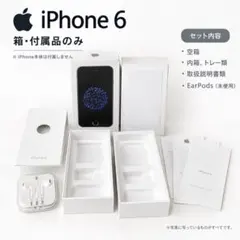 iPhone 6 空箱 純正付属品 EarPods イヤホン