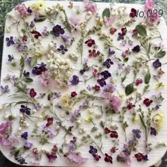 No,039 特小小花ミックス　ドライフラワー花材