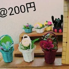 アゲハ蝶様専用ページ☆